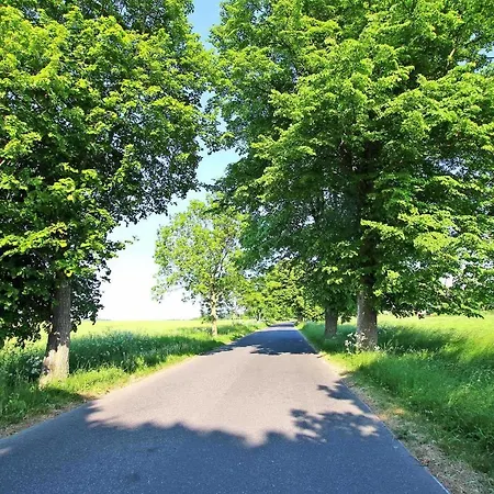 Ferienwohnung Altenkirchen Rueg 23 阿尔滕基兴